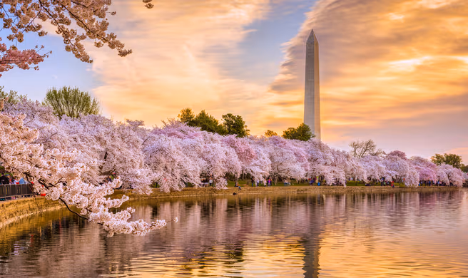 Washington