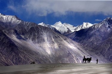 Traveller photo